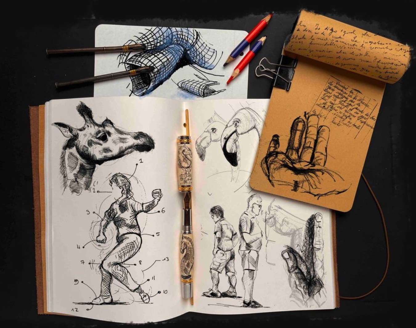 Carnet de dessin avec illustrations réalisées lors de cours adultes à La Rochelle